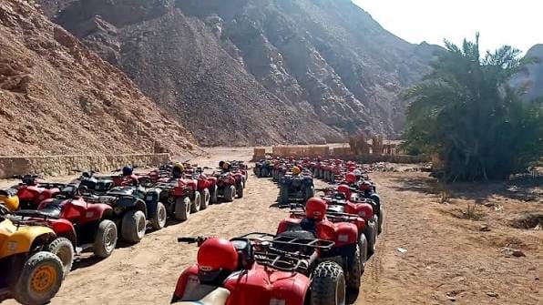 سفاري بيتش باجي بانوراما